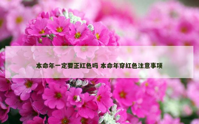 本命年一定要正红色吗 本命年穿红色注意事项