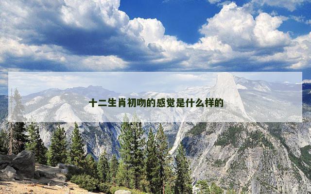 十二生肖初吻的感觉是什么样的