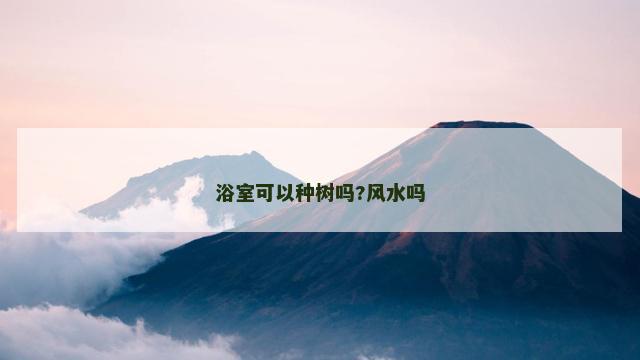 浴室可以种树吗?风水吗