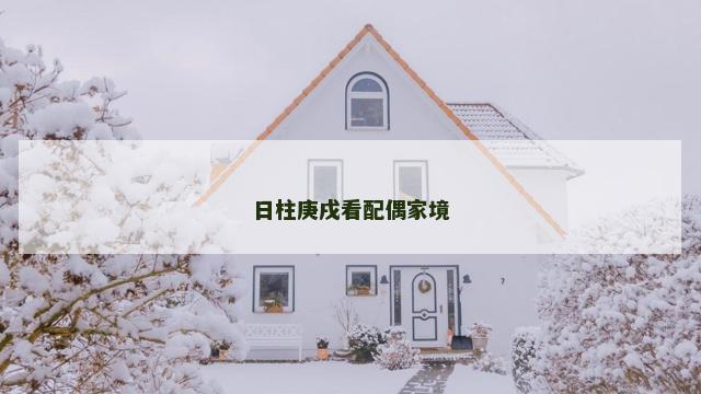 日柱庚戌看配偶家境