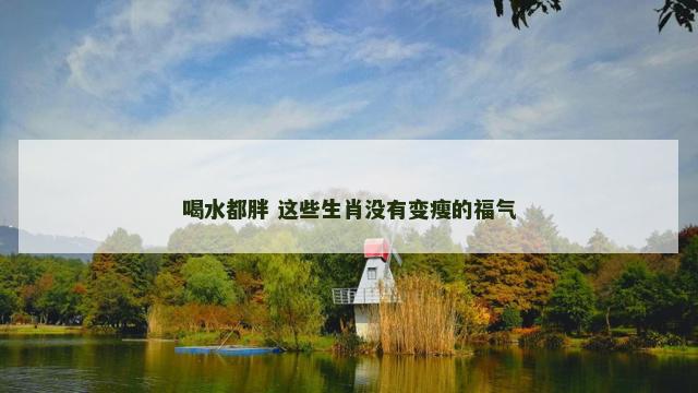 喝水都胖 这些生肖没有变瘦的福气
