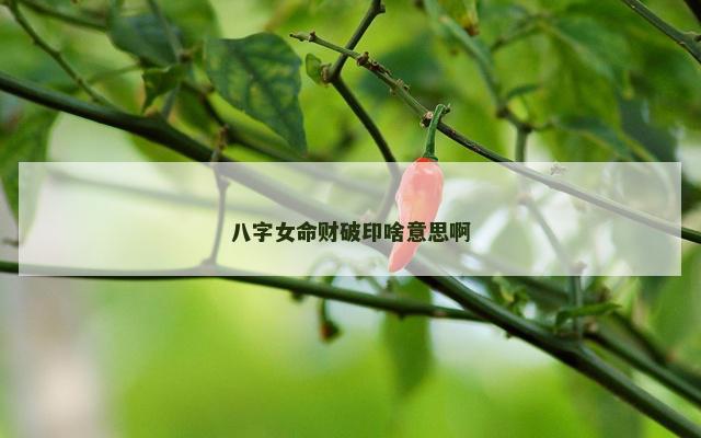 八字女命财破印啥意思啊