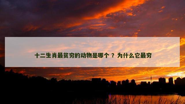 十二生肖最贫穷的动物是哪个 ？为什么它最穷