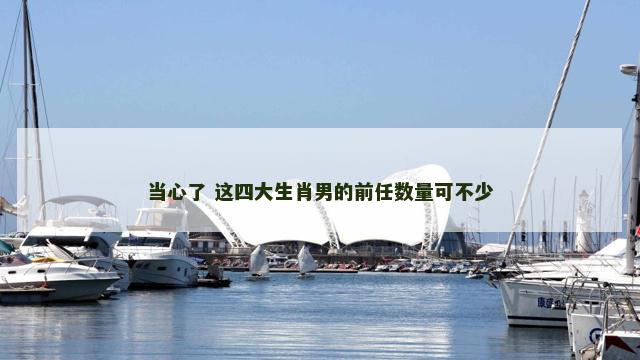 当心了 这四大生肖男的前任数量可不少