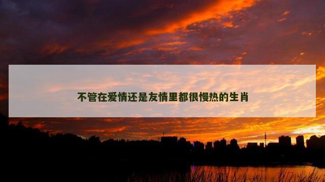 不管在爱情还是友情里都很慢热的生肖