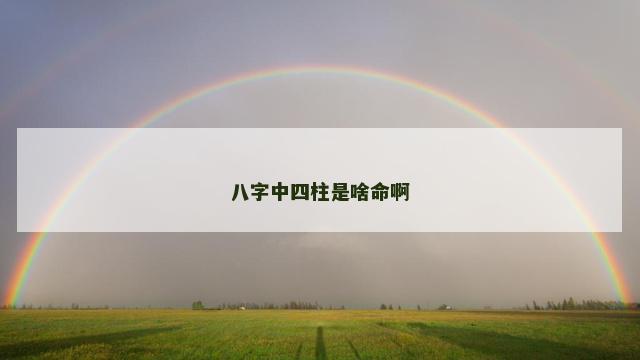 八字中四柱是啥命啊