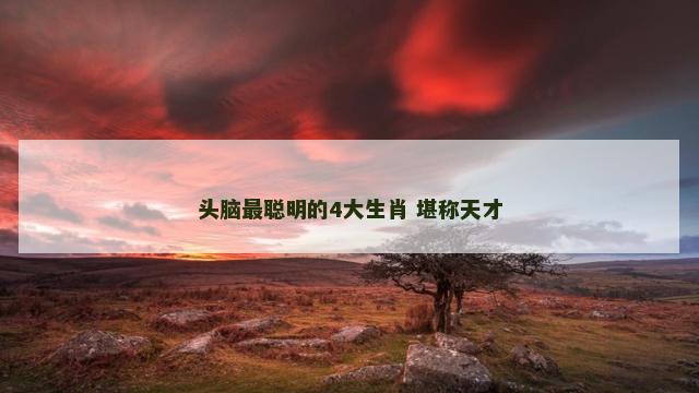 头脑最聪明的4大生肖 堪称天才