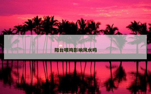 阳台喂鸡影响风水吗