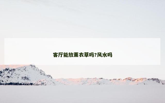 客厅能放薰衣草吗?风水吗