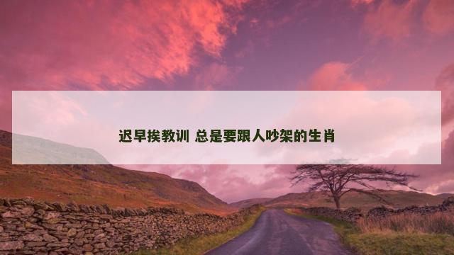 迟早挨教训 总是要跟人吵架的生肖