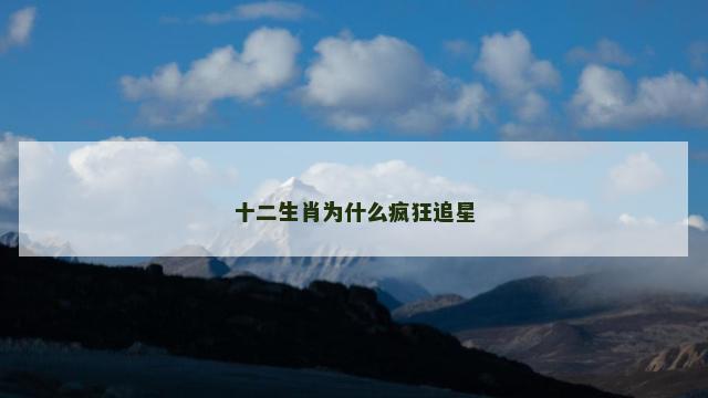 十二生肖为什么疯狂追星