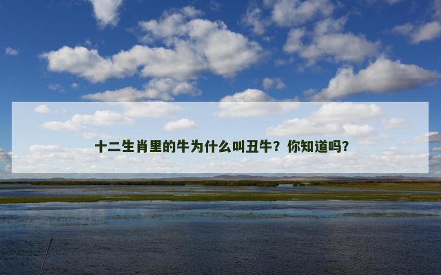 十二生肖里的牛为什么叫丑牛？你知道吗？