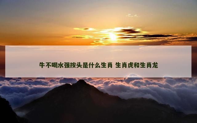 牛不喝水强按头是什么生肖 生肖虎和生肖龙