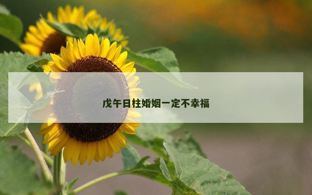 戊午日柱婚姻一定不幸福