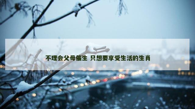不理会父母催生 只想要享受生活的生肖