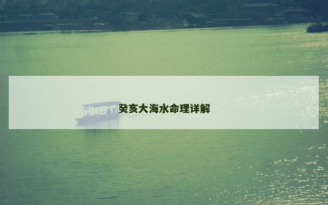 癸亥大海水命理详解