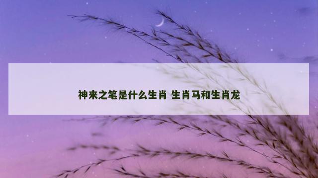 神来之笔是什么生肖 生肖马和生肖龙