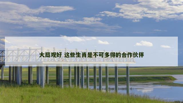 大局观好 这些生肖是不可多得的合作伙伴