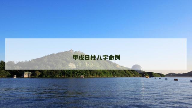 甲戌日柱八字命例