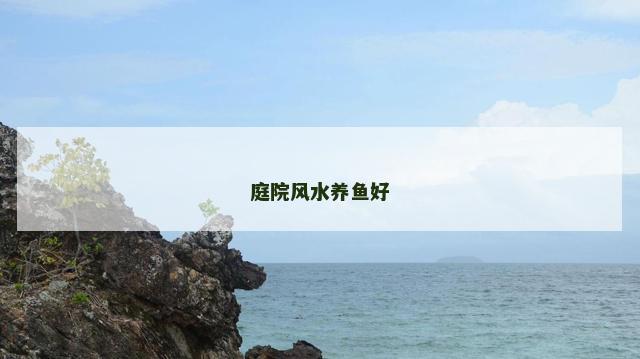 庭院风水养鱼好