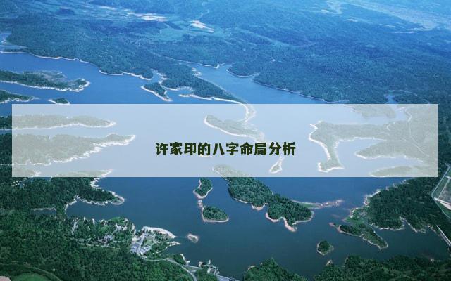许家印的八字命局分析