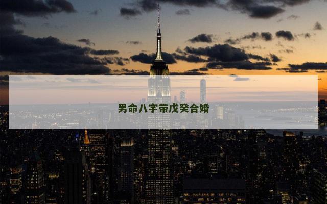 男命八字带戊癸合婚