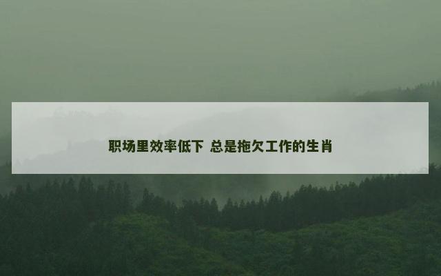 职场里效率低下 总是拖欠工作的生肖
