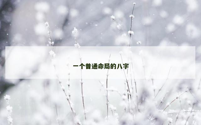 一个普通命局的八字