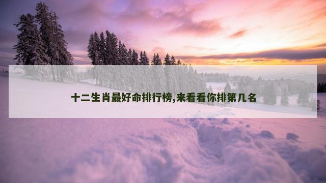 十二生肖最好命排行榜,来看看你排第几名
