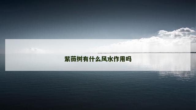 紫薇树有什么风水作用吗