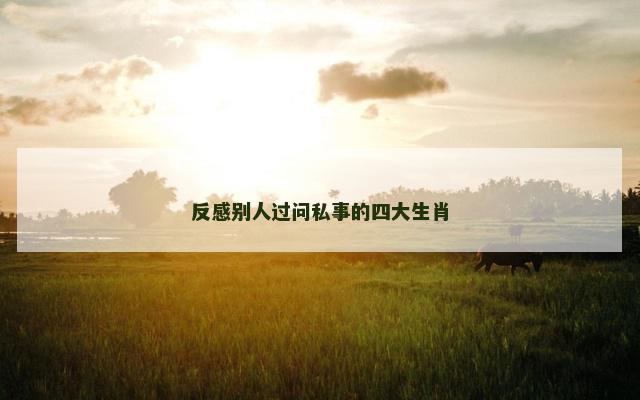 反感别人过问私事的四大生肖