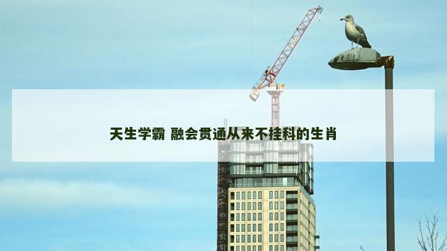 天生学霸 融会贯通从来不挂科的生肖