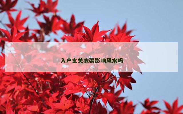 入户玄关衣架影响风水吗