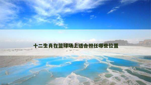 十二生肖在篮球场上适合担任哪些位置