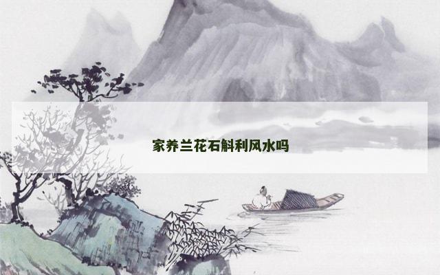 家养兰花石斛利风水吗