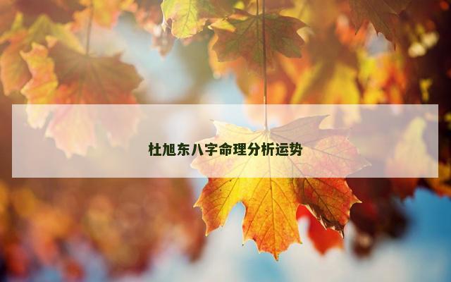 杜旭东八字命理分析运势