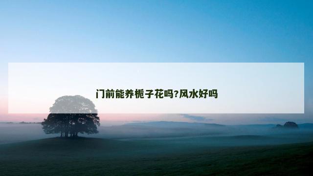 门前能养栀子花吗?风水好吗