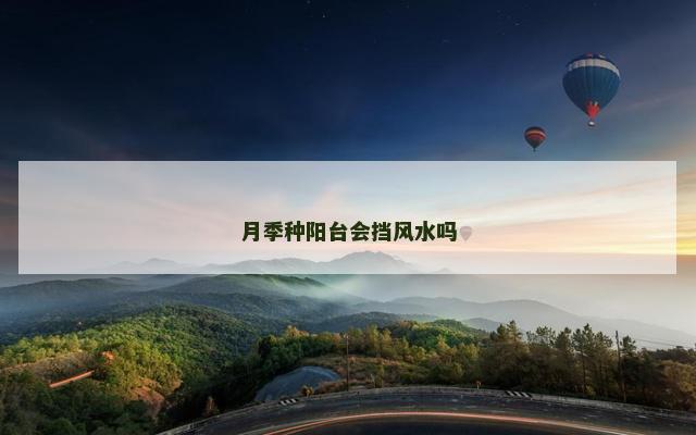 月季种阳台会挡风水吗
