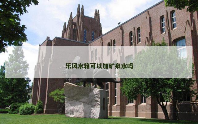 乐风水箱可以加矿泉水吗