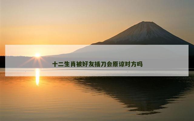 十二生肖被好友插刀会原谅对方吗