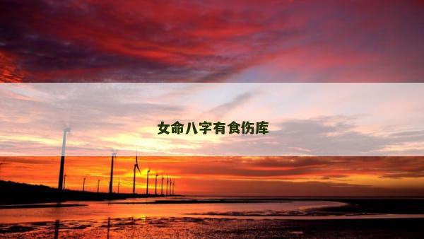 女命八字有食伤库