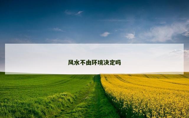 风水不由环境决定吗