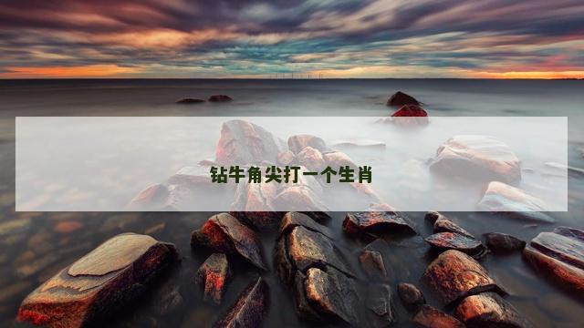 钻牛角尖打一个生肖