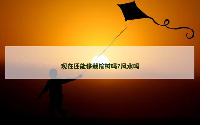 现在还能移栽榆树吗?风水吗