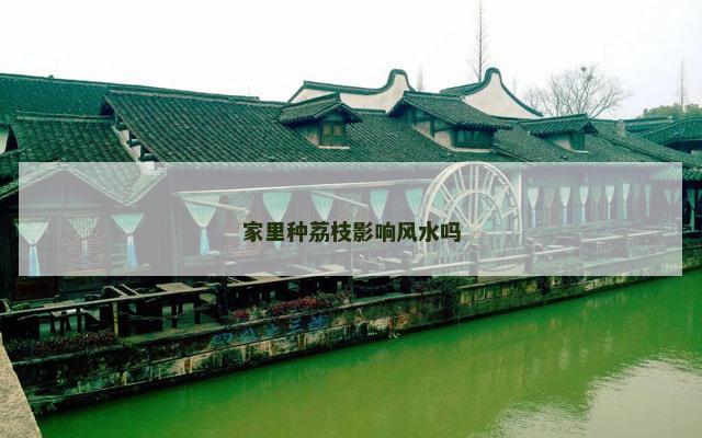 家里种荔枝影响风水吗