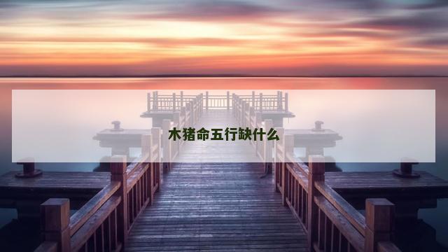 木猪命五行缺什么