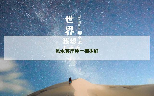 风水客厅种一棵树好