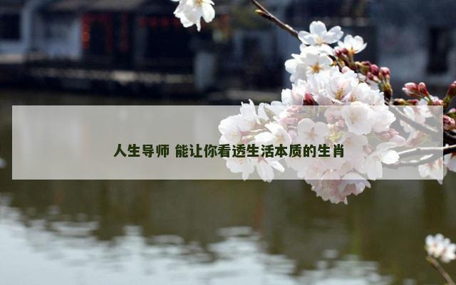 人生导师 能让你看透生活本质的生肖