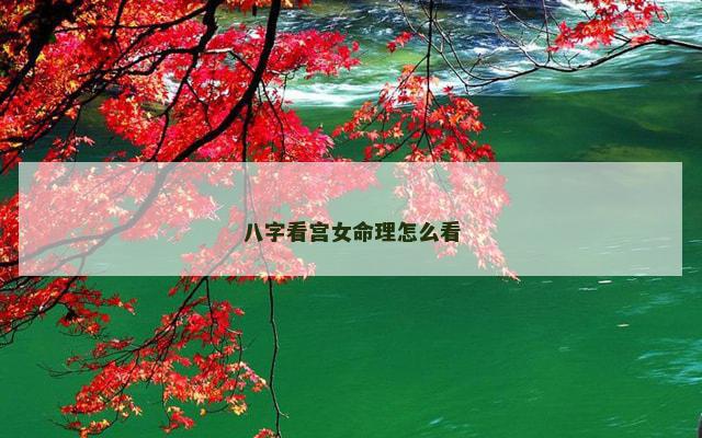 八字看宫女命理怎么看