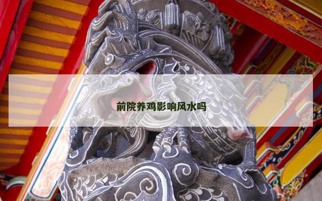 前院养鸡影响风水吗